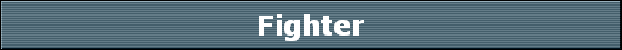Fighter